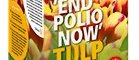 end polio now